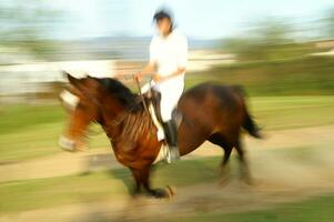 uma pessoa equitação uma cavalo foto