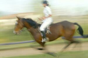 uma pessoa equitação uma cavalo foto