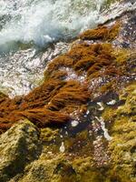 uma rochoso costa com ondas falhando contra a pedras foto