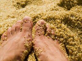 uma par do pés em uma arenoso de praia foto