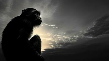 Preto e branco silhueta do uma macaco às pôr do sol foto