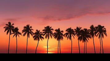 silhueta do Palma árvores às tropical nascer do sol ou pôr do sol foto
