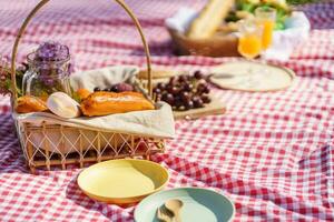 piquenique almoço refeição ao ar livre parque com Comida piquenique cesta. desfrutando piquenique Tempo dentro parque natureza ao ar livre foto