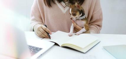 coronavírus. o negócio mulher trabalhando a partir de casa com cachorro conceito casa quarentena prevenção covid-19 coronavírus surto situação. foto