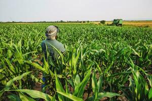 retrato do agricultor quem é cultivar milho. agrícola ocupação. foto