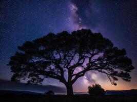 uma majestoso árvore recortado contra uma pano de fundo do a grande noite céu preenchidas com estrelas ai gerado foto