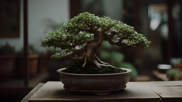 lindo bonsai plantar exibição dentro uma cerâmico Panela interior. ai gerado foto