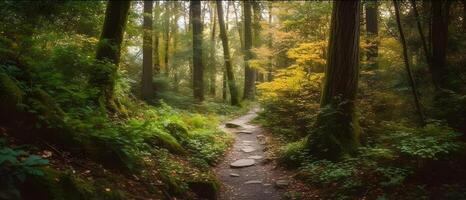 uma caminho para a profundo natureza tropical floresta árvore debaixo a sombra do árvore às a luz do dia Sol. ai gerado foto