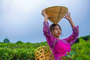 uma chá jardim agricultor posando entre a chá folhas enquanto segurando uma chapéu e bambu cesta foto