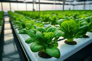 seletivo foco do fresco orgânico vegetal crescido usando hidropônico Fazenda. ai gerado. foto