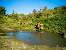 Ruma, bandarban, Bangladesh. tribal pessoas andando, grande bambu balde em voltar, Colina natureza. foto