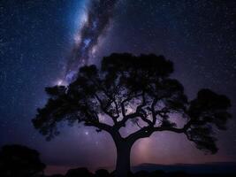 uma majestoso árvore recortado contra uma pano de fundo do a grande noite céu preenchidas com estrelas ai gerado foto