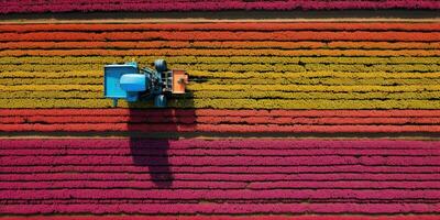 generativo ai, Fazenda colorida paisagem, agrícola Campos, lindo interior, país estrada. natureza ilustração, topo Visão drone, horizontal bandeira. foto