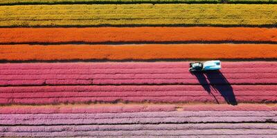 generativo ai, Fazenda colorida paisagem, agrícola Campos, lindo interior, país estrada. natureza ilustração, topo Visão drone, horizontal bandeira. foto