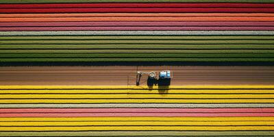 generativo ai, Fazenda colorida paisagem, agrícola Campos, lindo interior, país estrada. natureza ilustração, topo Visão drone, horizontal bandeira. foto