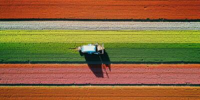 generativo ai, Fazenda colorida paisagem, agrícola Campos, lindo interior, país estrada. natureza ilustração, topo Visão drone, horizontal bandeira. foto