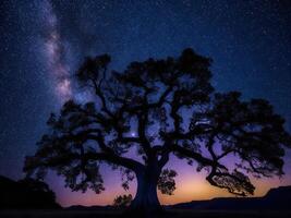 uma majestoso árvore recortado contra uma pano de fundo do a grande noite céu preenchidas com estrelas ai gerado foto