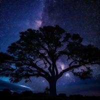 uma majestoso árvore recortado contra uma pano de fundo do a grande noite céu preenchidas com estrelas ai gerado foto