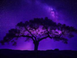 uma majestoso árvore recortado contra uma pano de fundo do a grande noite céu preenchidas com estrelas ai gerado foto