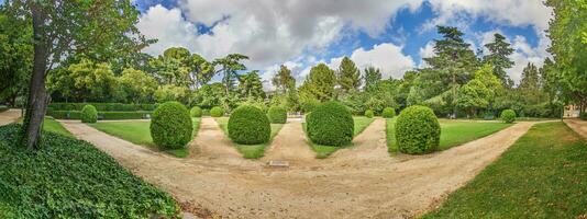 impressão a partir de uma bem mantido jardim com precisamente cortar arbustos dentro verão foto