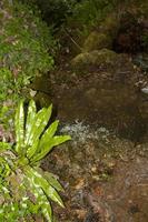 cachoeira marmore e seus riachos foto