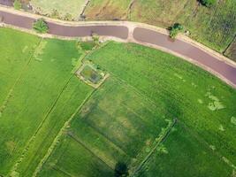 verde arroz Campos dentro Ásia, aéreo fotografias do zangões foto