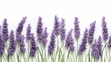 lavanda flor estampado fundo. flor textura fundo. generativo ai foto