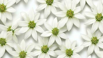 edelweiss flor estampado fundo. flor textura fundo. generativo ai foto