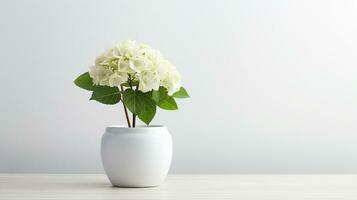 foto do hortênsia flor dentro Panela isolado em branco fundo. generativo ai