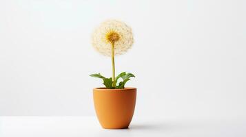 foto do dente de leão flor dentro Panela isolado em branco fundo. generativo ai