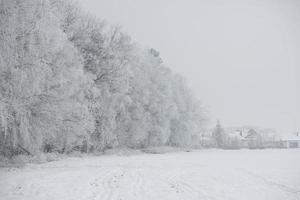 paisagem de inverno com neve e nevoeiro foto