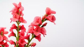 foto do lindo snapdragon flor isolado em branco fundo. generativo ai