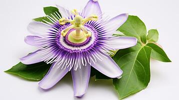 foto do lindo Flor da Paixão flor isolado em branco fundo. generativo ai