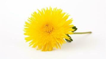 foto do lindo dente de leão flor isolado em branco fundo. generativo ai