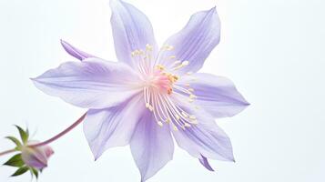 foto do lindo columbine flor isolado em branco fundo. generativo ai