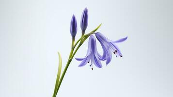foto do lindo bluebell flor isolado em branco fundo. generativo ai
