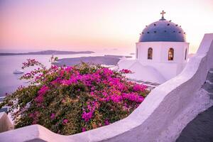 colorida nascer do sol dentro oia em a santorini ilha, Grécia. famoso viagem e verão período de férias destino. flores, branco azul arquitetura, pôr do sol luz, pacífico verão vibração foto