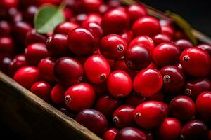 maduro orgânico cranberries dentro outono bandeja mercado agricultura Fazenda fundo topo Visão foto