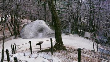 caminho da floresta no parque nacional de seoraksan. Coreia do Sul foto