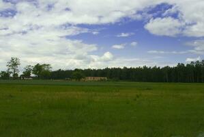 natural verde Primavera rural calma panorama com azul céu foto