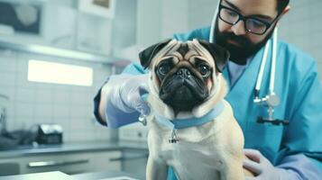 uma veterinário dentro uma clínica olhando às uma cachorro foto