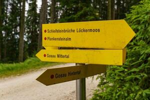 caminhada dentro a austríaco Alpes foto