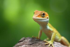 fofa anole dentro natureza Largo vida animais. ai gerado. foto