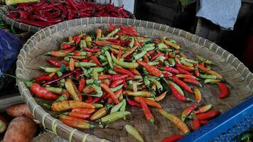 pilhas do picante Pimenta de caiena Pimenta dentro containers vendido dentro tradicional mercados foto