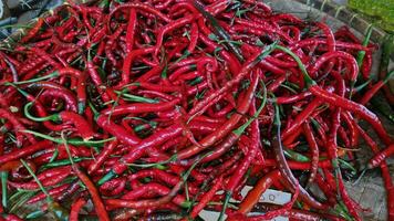 pilhas do vermelho Pimenta Pimenta dentro containers foto