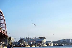 barcos de pesca ancorados em uma vila de pescadores na Coréia foto