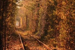 túnel do amor na ucrânia foto