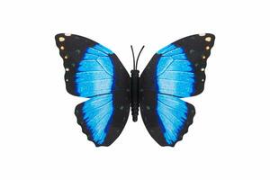 borboleta azul cor isolado branco fundo. foto