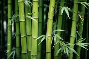 fechar-se tiro do verde bambu árvores oriental vibrações. ai gerado foto