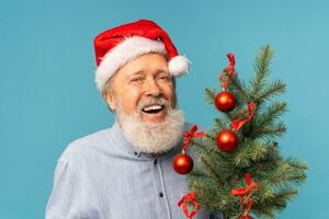 retrato do feliz santa claus animado olhando às Câmera e detém pequeno Natal árvore em azul fundo foto